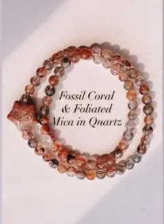 Item thumbnail for item 8c6be048-cc68-4c06-bb33-0036e7f205e6