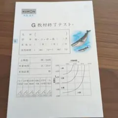 ☆未使用☆公文　算数　G教材終了テストのサムネイル