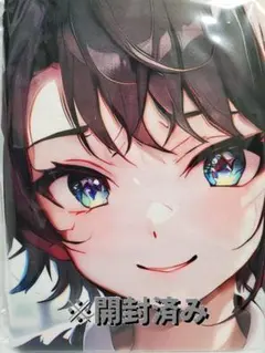 第14弾 シークレット バスタオル 20枚 各種キャラまとめ売り 第14弾 シークレット バスタオル 20枚 各種キャラまとめ売り 第10弾