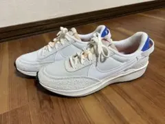 Nike スニーカー ホワイト/ブルー