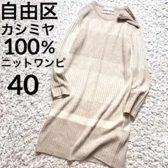 自由区 オンワード樫山 カシミヤ100% ボーダーニットワンピース 肩ジップ　L