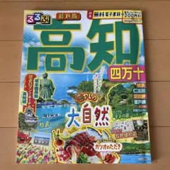 Item thumbnail for item 0cffdc6d-a607-4691-91d4-5180a8cec9ac