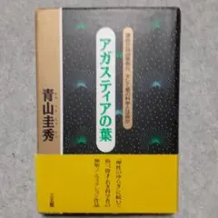 2026年最新】青山圭秀 本の人気アイテム - メルカリ