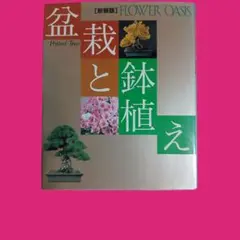 国風盆栽展 第81回 第82回 図録 2冊セット - メルカリ