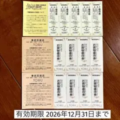 東武ワールドスクウェア スクエア 入園ご優待券5枚+東武百貨店お買物優待券8枚のサムネイル