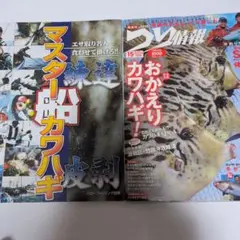 ルアーマガジン付録湯川マサタカデカイカ専門シャクり術 - メルカリ