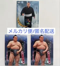 Item thumbnail for item 0421884e-6488-468b-8748-8e97c913e31e