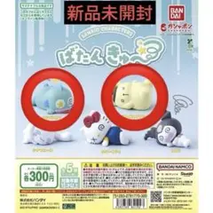 サンリオ ばたんきゅ〜 ハンギョドン＆ポムポムプリン2体セット 新品未開封