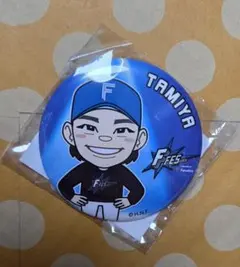 ファイターズ スポーツ選手