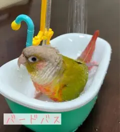 Item thumbnail for item b8ac2f04-82f5-4e52-a841-b055548ffeea