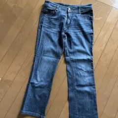 イオン・レディーススッキリデニム（M）のサムネイル