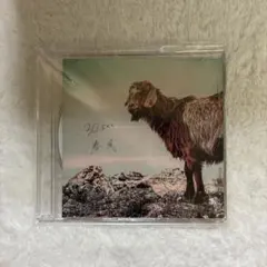 【新品未使用】30sec. 春風　廃盤CD