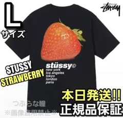 STUSSY ストロベリー Tシャツ Lサイズ 新品