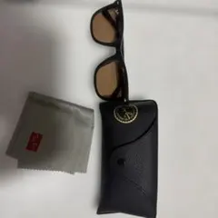 Ray-Ban RB4391D サングラス