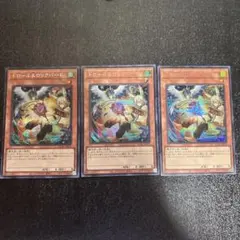 ドロール＆ロックバード 絵違い シークレット　3枚