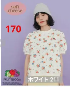 170　soft cheese　ソフトチーズ　スエットTシャツ半袖　しまむらのサムネイル