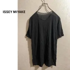 ISSEY MIYAKE クリンクル シアー カットソー / イッセイミヤケのサムネイル