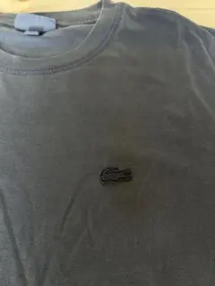 LACOSTE ラコステ Tシャツ ネイビー　Mサイズ