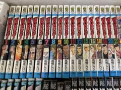 Item thumbnail for item 2eb132bc-a06c-4f66-8d57-0b53fc7c013b