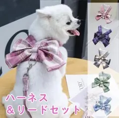 Item thumbnail for item 4e0ec83c-0829-4395-990c-9f881fa3da2b