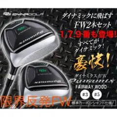 1.7.9番も登場☆2本選べて超激安！ダイナミクス 適合限界強反発FW 