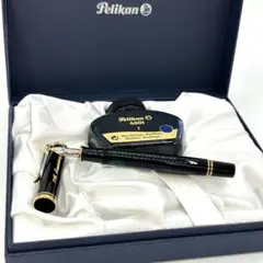 新品・未使用✨ ペリカン 万年筆 スーベレーン M600 14C-585 F - メルカリ