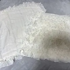 Francfrancクッションカバー2枚セット