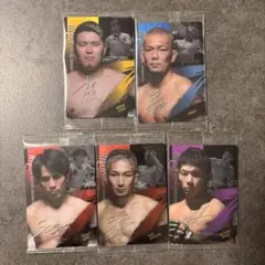 Item thumbnail for item b1f426a3-7012-4a33-8985-c6d85867adf6