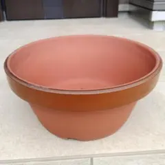 常滑焼 大型素焼鉢 駄温浅鉢12号 約37ｃｍ 盆栽鉢 仕立鉢 山野草 観葉植物