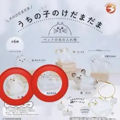 うちの子のけだまだま 柴犬 丸たれみみ 犬