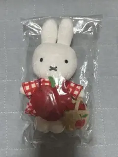 レア・新品未開封】大阪関西万博 オランダ館 ミッフィー キーホルダー