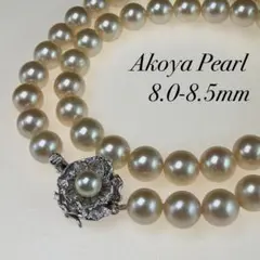【テリ✨大珠】 あこや真珠 ネックレス 8.5mm アコヤパール ゴールデン系のサムネイル
