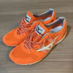 Item thumbnail for item fb4d9a73-a9d0-4425-8eea-4f8f34c7384f