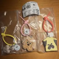 Maison terrier カラフルマルチチャーム 3種セット　メゾンテリア
