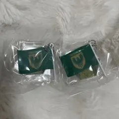 2025 J1リーグ 東京ヴェルディ クラブフラッグキーチェーン 2個セット