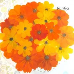 mint ◆ オーダー受付中 ✩.*˚様 リクエスト 3点 まとめ商品