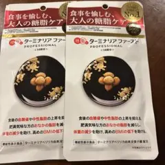 【新品・未開封】ターミナリアファースト PROFESSIONAL 90回分 ターミナリアファースト プロフェッショナル4 [ リニューアル版 ] 120