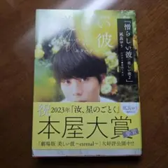 憎らしい彼　美しい彼2 小説　限定カバー