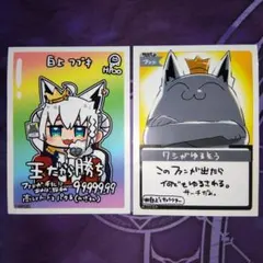2026年最新】白上フブキ スリーブの人気アイテム - メルカリ