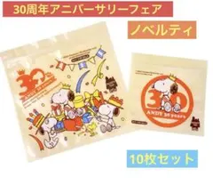 【新品】スヌーピー　ジッパーバッグ　30周年アニバーサリー　限定　ノベルティ