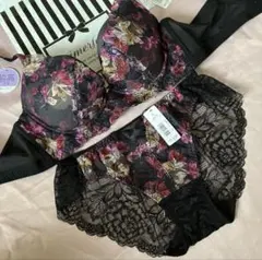 エメフィール　脇高ブラ　ショーツ　セット　ブルームレース　完売　レア