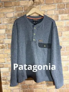 Patagonia スウェット　サイズL
