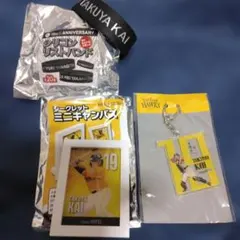 福岡SoftBankHawks甲斐拓也選手キャンバス、リストバンドホルダー3点