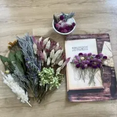 2026年最新】芙蓉ドライフラワーの人気アイテム - メルカリ