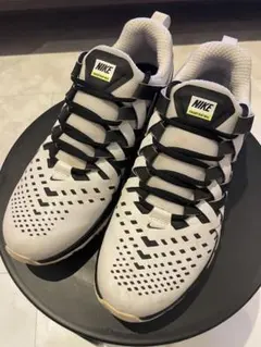 Item thumbnail for item d96cc6e0-01b9-429b-96f5-5e3b65c7ebc3