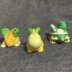 ポケモン　ナエトル　ハヤシガメ　ドダイトス