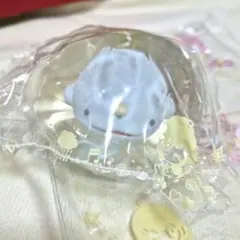 MoMo 海洋シリーズ 第3弾　イッカク