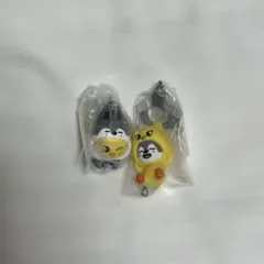 スキズ ガチャskzoo ポガリ　ウルフチャン