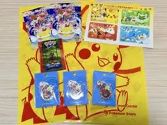 ★激安★ 3個！！ ポケモンセンターオオサカ 限定 ピンズ コライドン