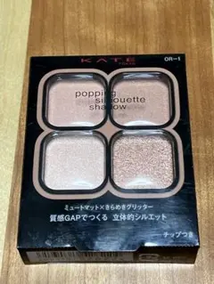ケイト　ポッピングシルエットシャドウ　OR-1